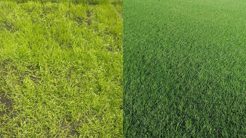 Naturalne sposoby na plamy