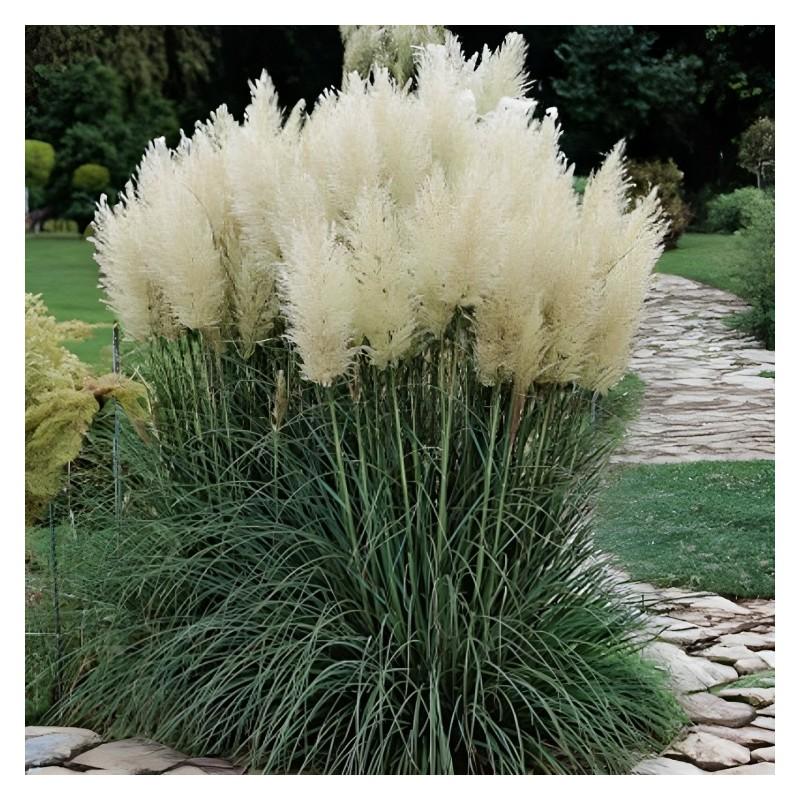 Skuteczne detergenty do plam